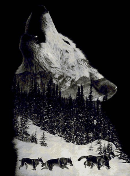 Волк воет на луну