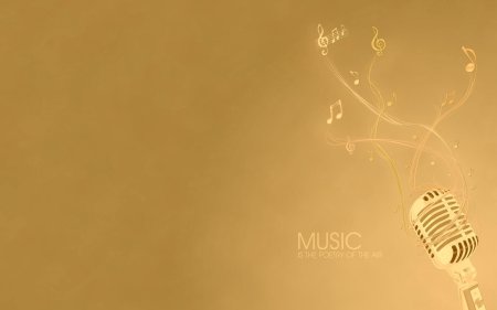 Микрофон музыкальный