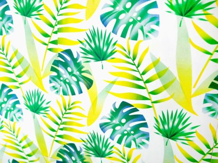 Бали монстера папоротник джунгли