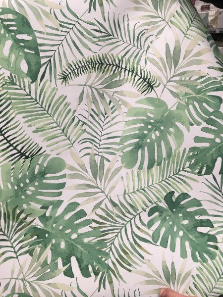 Лист папоротник