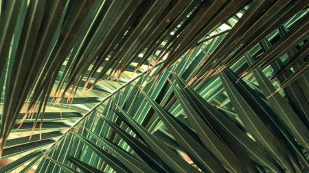 Джим холокауст тропики