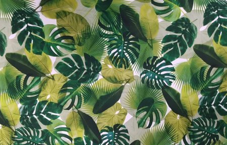 Тропические листья Musa basico