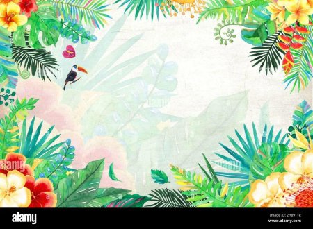 Гавайи АЛОХА рамка