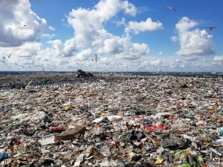 Свалка мусора