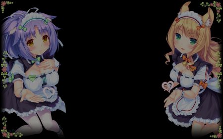 Синнамон некопара