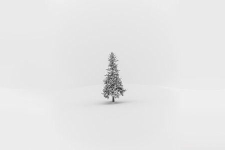 Зима минимализм