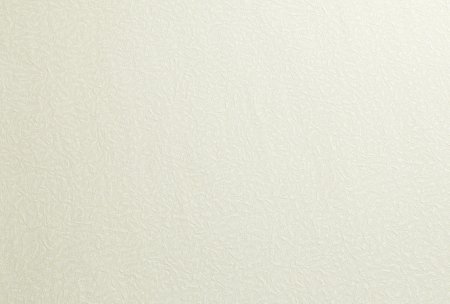 Орегон 12 экокожа