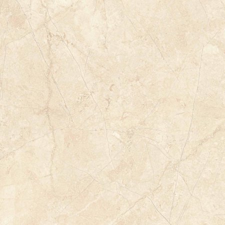 Обои Golden Library Tondo