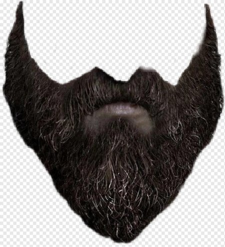 Борода на белом фоне