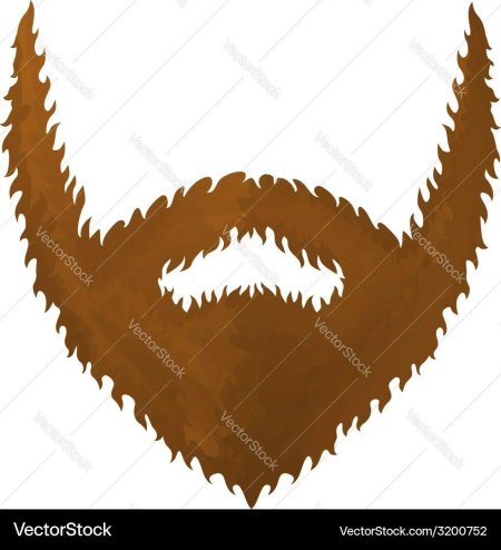 Борода вектор