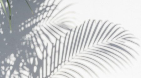 Тень от пальмы