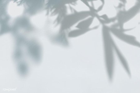 Тень от листвы