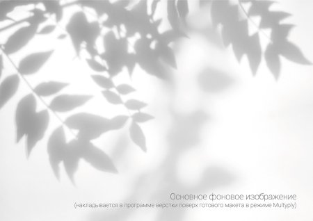 Тень от листьев