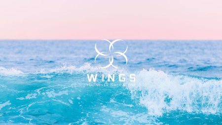 Wings you never walk alone