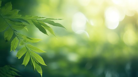 Зеленые листья