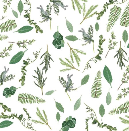 Эвкалипт паттерн