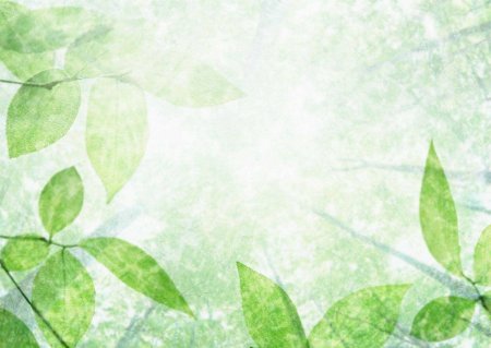 Фоновое изображение