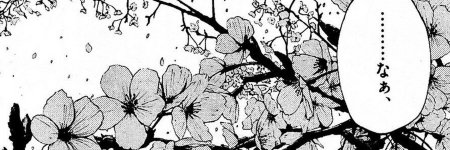 Сакура раскраска