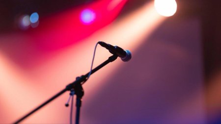 Микрофон концерт