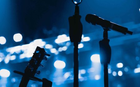 Сцена с микрофоном