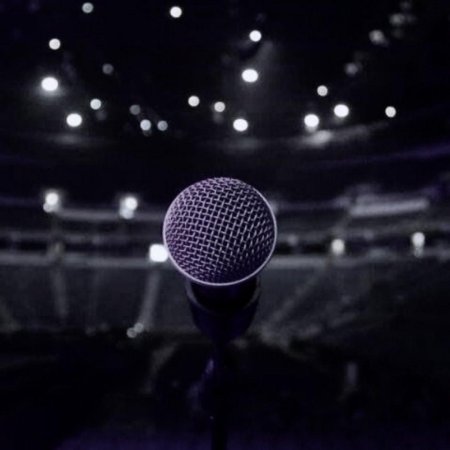 Концерт вид со сцены