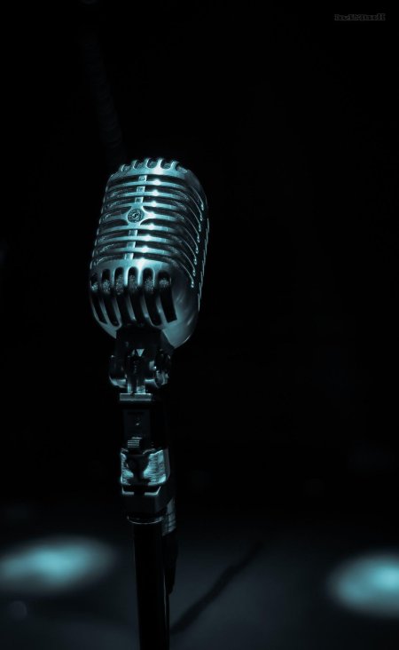 Микрофон музыкальный