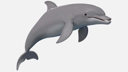 Дельфин черноморская афалина