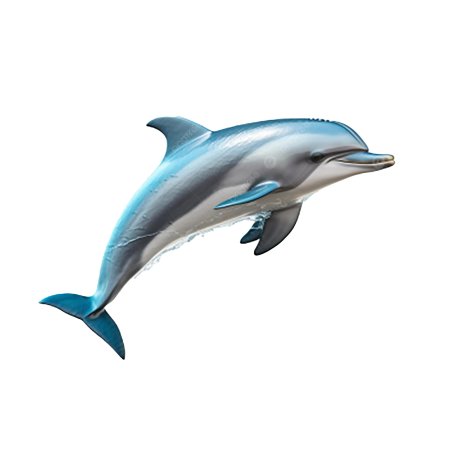 Клипарт дельфин