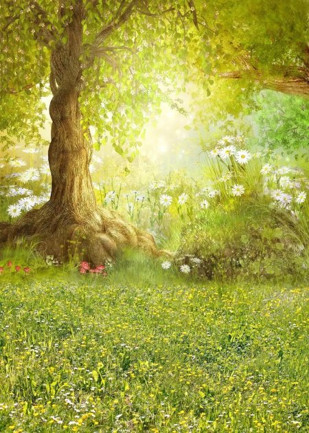 Сказочная Поляна в лесу