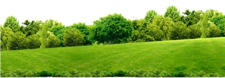 Деревья на заднем плане