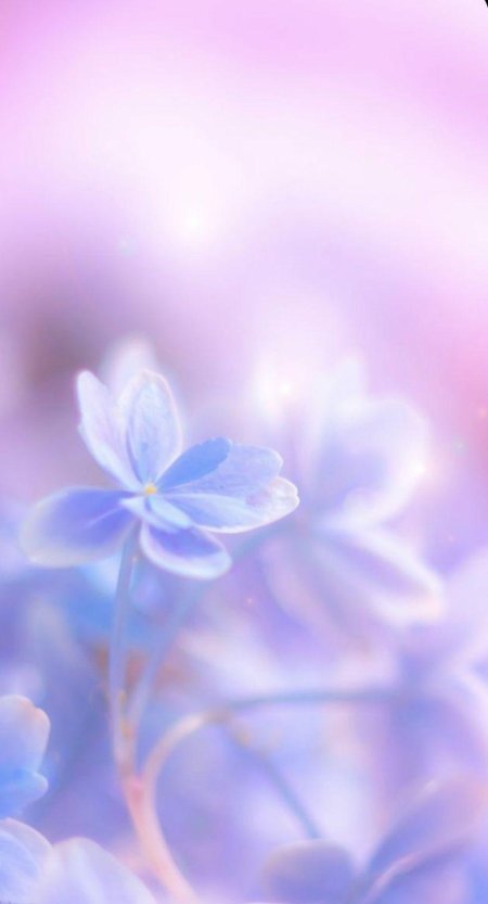 Фон цветочный нежный