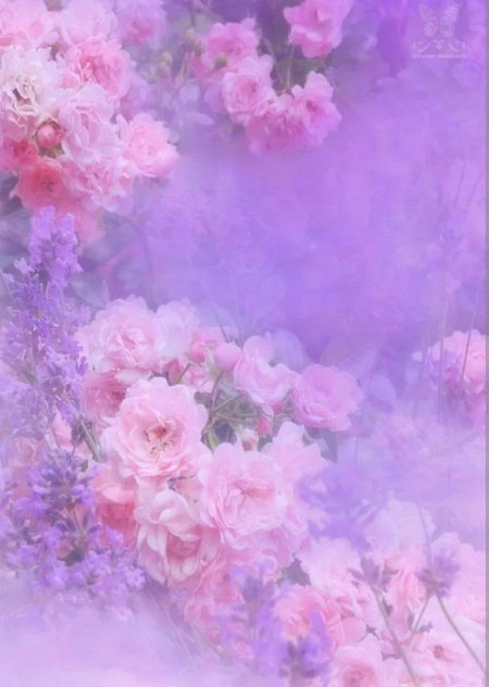 Фон с цветами