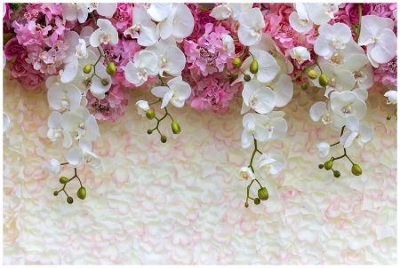 Фотообои ниспадающие орхидеи