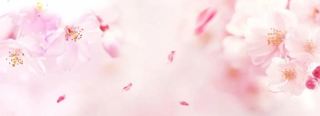 Фон цветочный нежный