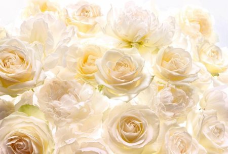 Фотообои Komar флизелиновые