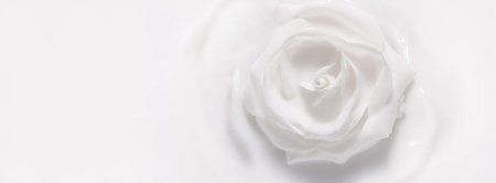 Нежный белый фон