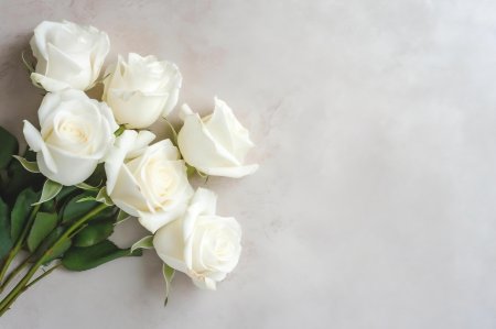 Открытка с белыми розами