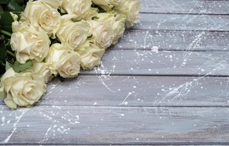 Розы светлые