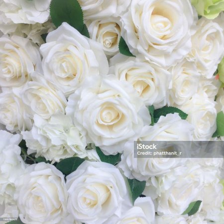 Стена с розами свадьба