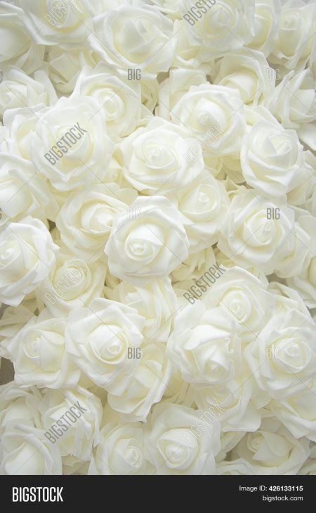 Белые розы фон