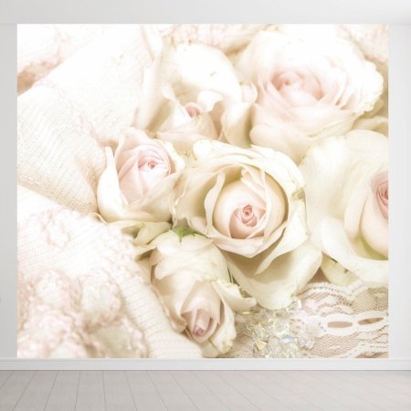 Нежные розы