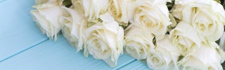 Красивые открытки с белыми розами