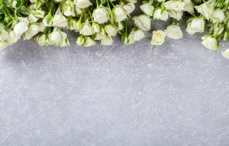 Фон с белыми розами