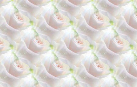 Цветы светлые