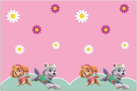 Paw Patrol Скай и Эверест