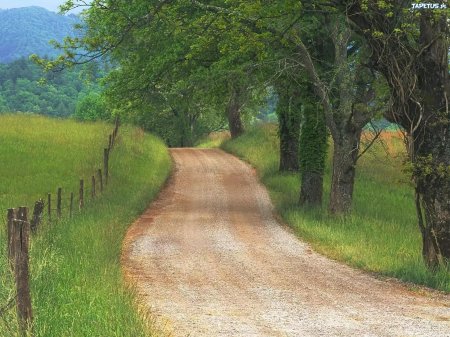 Сельская дорога