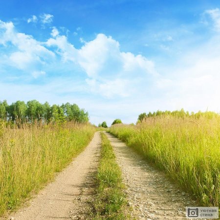 Летняя дорога