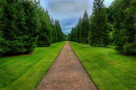 Красивая тропинка