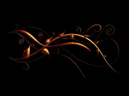 Орнамент на черном фоне