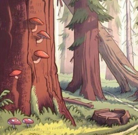 Лес из гравити фолз